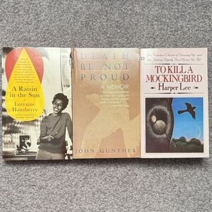 Raisin in the Sun To Kill a Mockingbird Death Be Not Proud Lot of 3 Books Used